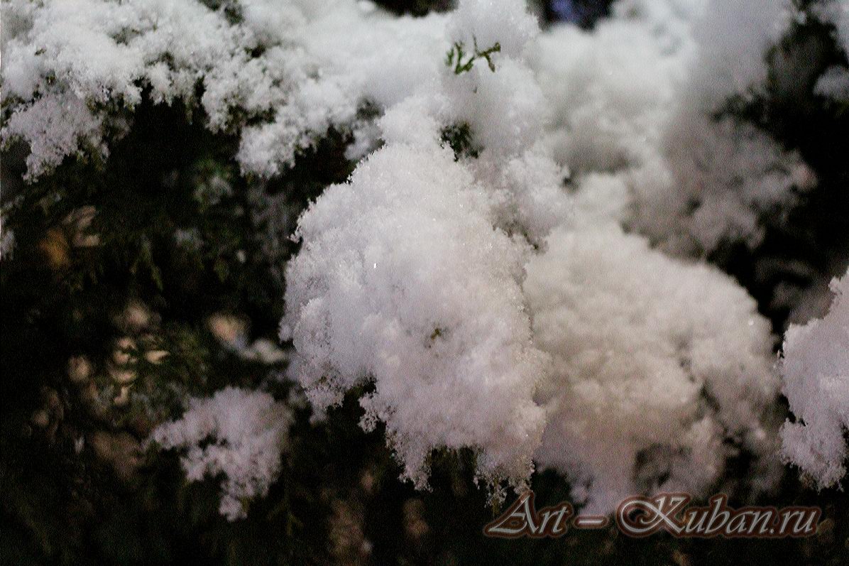 ������� �����. ����, ���� 2020-2021 �. ���������.
���� � 4. ������� 2020 �. 