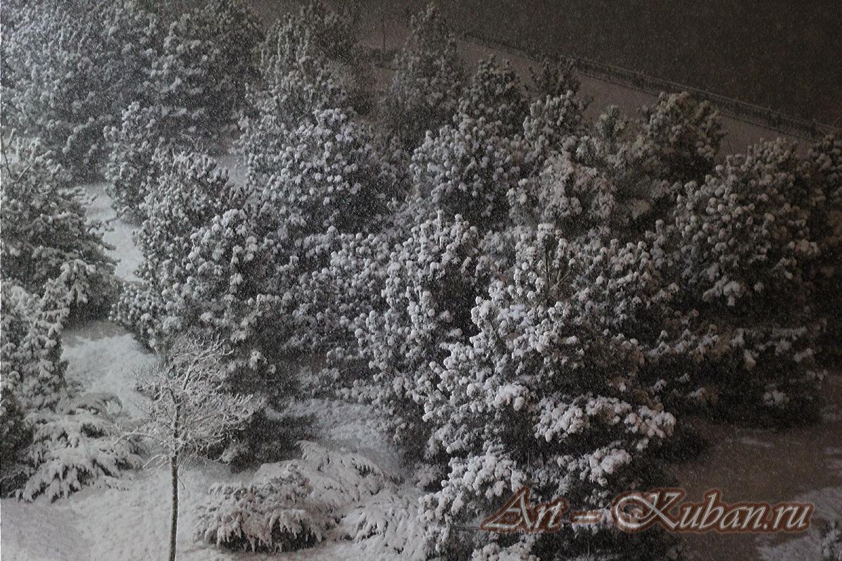 ��� � ������������� ����� �� ��. ��������� ����������. ����, ���� 2020-2021 �. ���������.
���� � 9. ������� 2020 �. 