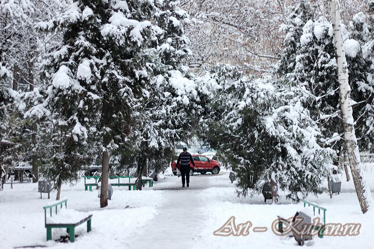 ����, ���� 2020-2021 �. ���������.
���� � 14. ������� 2020 �. 