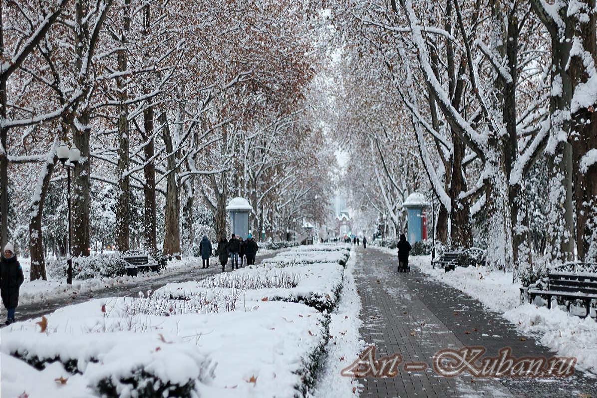 ��. �������. ����, ���� 2020-2021 �. ���������.
���� � 16. ������� 2020 �. 