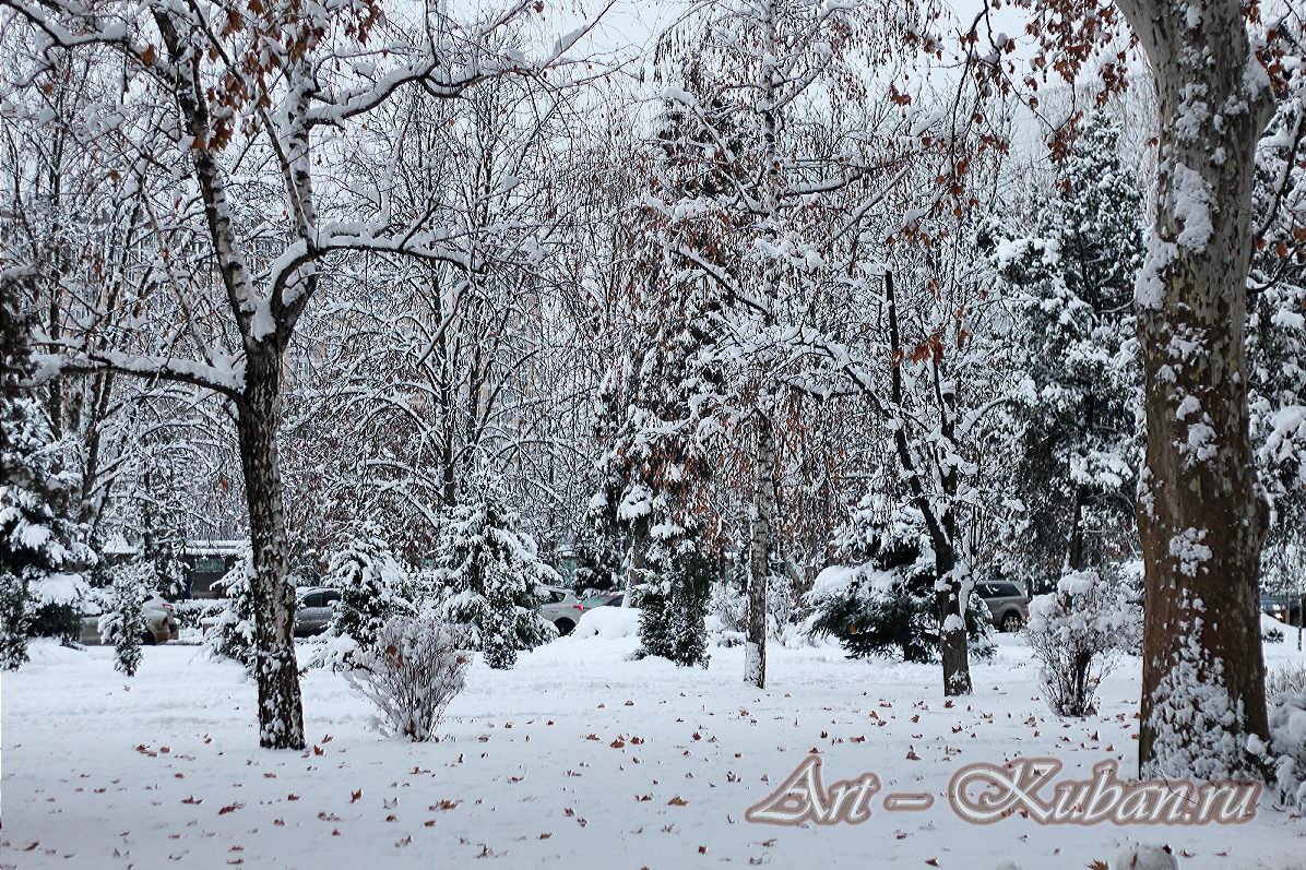 ��. �������. ����, ���� 2020-2021 �. ���������.
���� � 17. ������� 2020 �. 