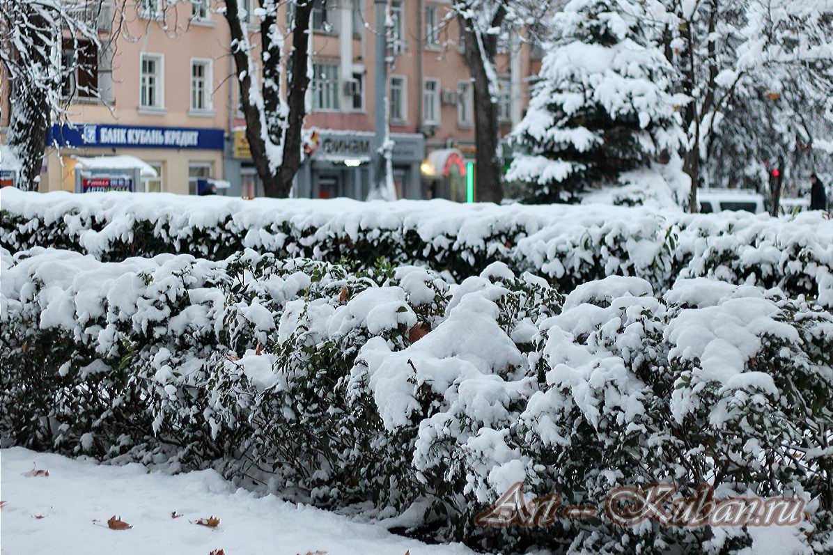 ��. �������. ����, ���� 2020-2021 �. ���������.
���� � 18. ������� 2020 �. 