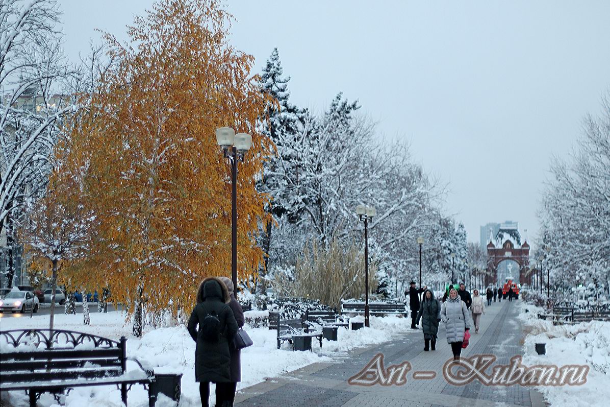 ��. �������. ����, ���� 2020-2021 �. ���������.
���� � 20. ������� 2020 �. 