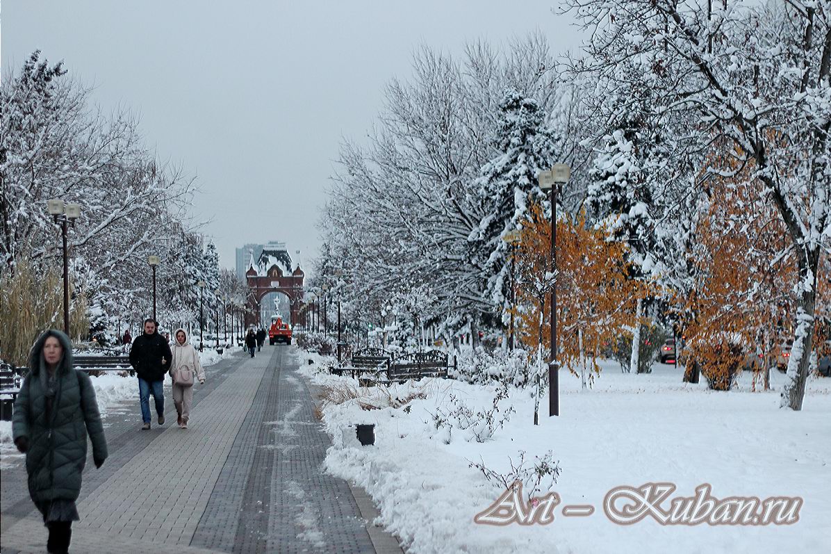 ��. �������. ����, ���� 2020-2021 �. ���������.
���� � 21. ������� 2020 �. 