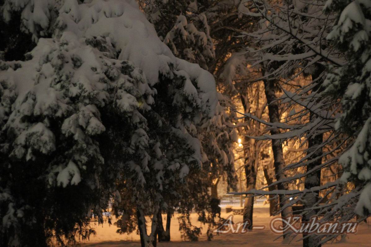 ����������� ����: ������� � ������������. ��������, �����, ���� 2021-2022 �. ���������. 
���� � 24. 13 ������ 2022 �. 