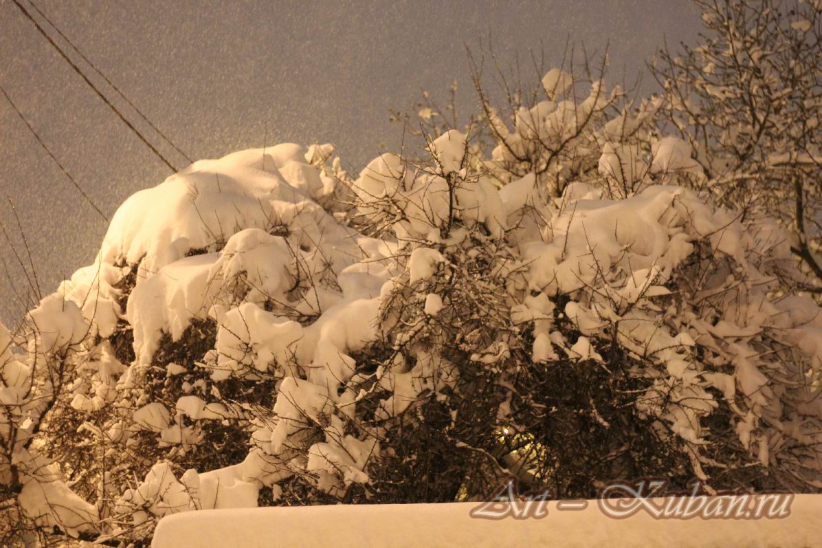 ��������, �����, ���� 2021-2022 �. ���������. 
���� � 62. 22 ������ 2022 �. 