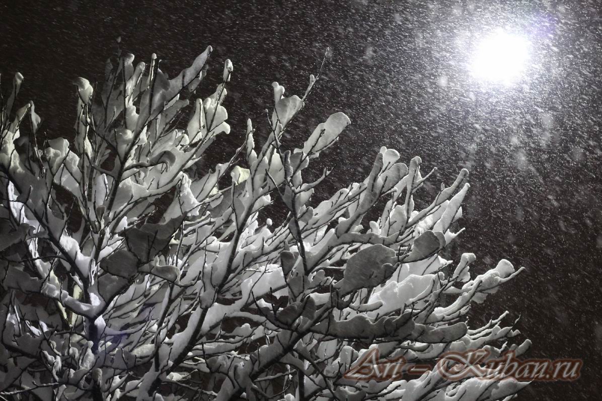 ����� ������������. ��������, �����, ���� 2021-2022 �. ���������.1���� � 65. 22 ������ 2022 �. 