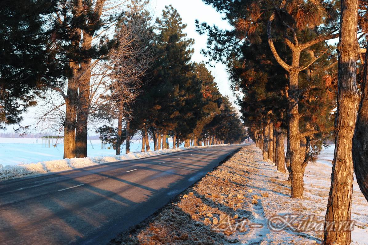 ������ � ��������. ��������, �����, �����, ���� 2023�. ���������. 
���� � 4. 9 ������� 2023 �. 