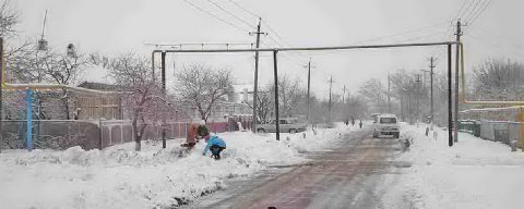 ����: ������������ ������ � ��������