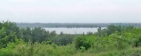 ����: ������������ ������ � ��������������