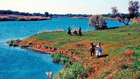 ����: ������������ ������ � ���������