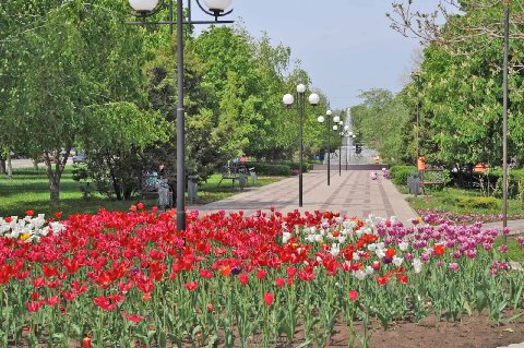 ����: ������������ ������ � ����������