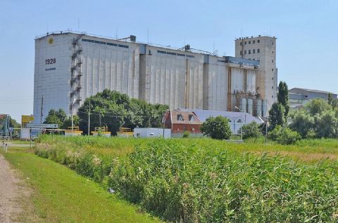 ����: ������������ ������ � ���������������������