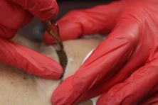 25 ����� 2023 �.  �����, ������������ ������, ������