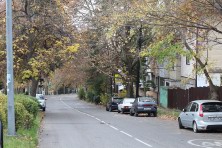 7 ������ 2021 �. ��. ����� ������ �������, �����������, �������, �����, ����� 2021 