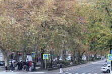 7 ������ 2021 �. �������, �����������, �������, �����, ����� 2021 