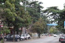 7 ������ 2021 �. �������, �����������, �������, �����, ����� 2021 