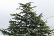 7 ������ 2021 �. �������, �����������, �������, �����, ����� 2021 