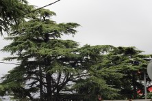 7 ������ 2021 �. �������, �����������, �������, �����, ����� 2021 