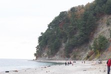 7 ������ 2021 �. ׸���� ����. ����. �������, �����������, �������, �����, ����� 2021 