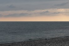 7 ������ 2021 �. ׸���� ����. �������, �����������, �������, �����, ����� 2021 