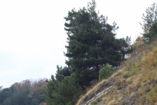 7 ������ 2021 �. �������, �����������, �������, �����, ����� 2021 