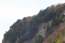 7 ������ 2021 �. �������, �����������, �������, �����, ����� 2021 