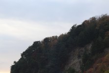 7 ������ 2021 �. �������, �����������, �������, �����, ����� 2021 