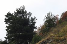 7 ������ 2021 �. �������, �����������, �������, �����, ����� 2021 