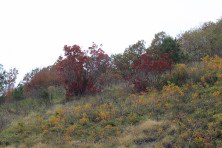 7 ������ 2021 �. �������, �����������, �������, �����, ����� 2021 