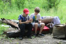 29 ��� 2021 �. ����. ����������� � ���������, ������, �����, ����� 2021 