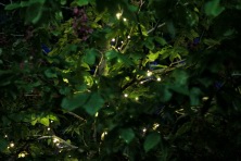 27 ��� 2022 �. ����, �������, ������, �����, ����� 2022 