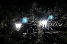 27 ��� 2022 �. ������. ����, �������, ������, �����, ����� 2022 