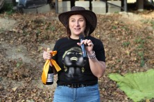 4 ������ 2023 �. ���������� �������� ����������. ��������, �����, �����, ������, �������, ���23, ����� 2023