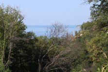 17 �������� 2020 �. ��� �� ׸���� ���� � ����. ����, �������, ������, �����, ����� 2020 