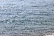 17 �������� 2020 �. ׸���� ����. ����, �������, ������, �����, ����� 2020 