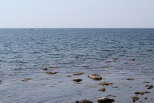 17 �������� 2020 �. ׸���� ����. ����, �������, ������, �����, ����� 2020 