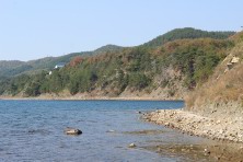 17 �������� 2020 �. ׸���� ����. ����, �������, ������, �����, ����� 2020 