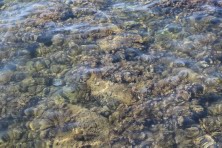 17 �������� 2020 �. ׸���� ����. ����, �������, ������, �����, ����� 2020 