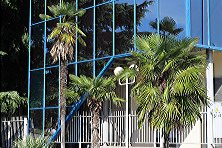 ������ 2020 �. ������. ����, �������, ������, �����, ���� 2020 