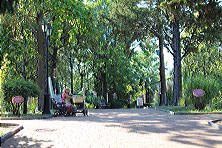 ������ 2020 �. ����, �������, ������, �����, ���� 2020 