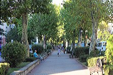 ������ 2020 �. ����, �������, ������, �����, ���� 2020 