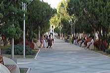 ������ 2020 �. ����, �������, ������, �����, ���� 2020 