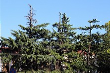 ������ 2020 �. ����, �������, ������, �����, ���� 2020 