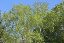 23 ������ 2023 �. ����� � ��������� ����������. ����, �������, �������, �������, �����, �����, ������, �������, �����������, ����� 2023