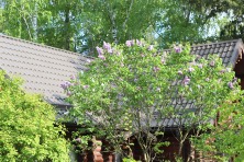 23 ������ 2023 �. ������ � ��������� ����������. ����, �������, �������, �������, �����, �����, ������, �������, �����������, ����� 2023