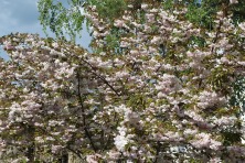 23 ������ 2023 �. ������ � ��������� ����������. ����, �������, �������, �������, �����, �����, ������, �������, �����������, ����� 2023