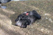 23 ������ 2023 �. ���� � ��������� ����������. ����, �������, �������, �������, �����, �����, ������, �������, �����������, ����� 2023