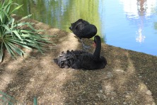 23 ������ 2023 �. ���� � ��������� ����������. ����, �������, �������, �������, �����, �����, ������, �������, �����������, ����� 2023