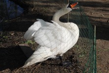 23 ������ 2023 �. ���� � ��������� ����������. ����, �������, �������, �������, �����, �����, ������, �������, �����������, ����� 2023